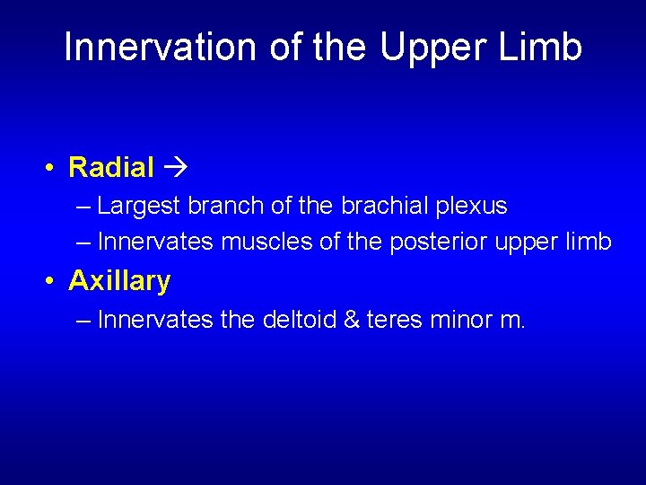 Innervation of the Upper Limb • Radial – Largest branch of the brachial plexus