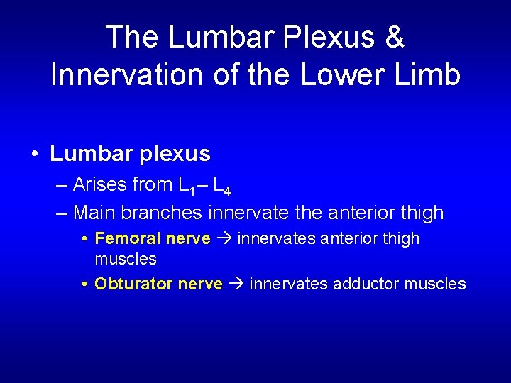The Lumbar Plexus & Innervation of the Lower Limb • Lumbar plexus – Arises