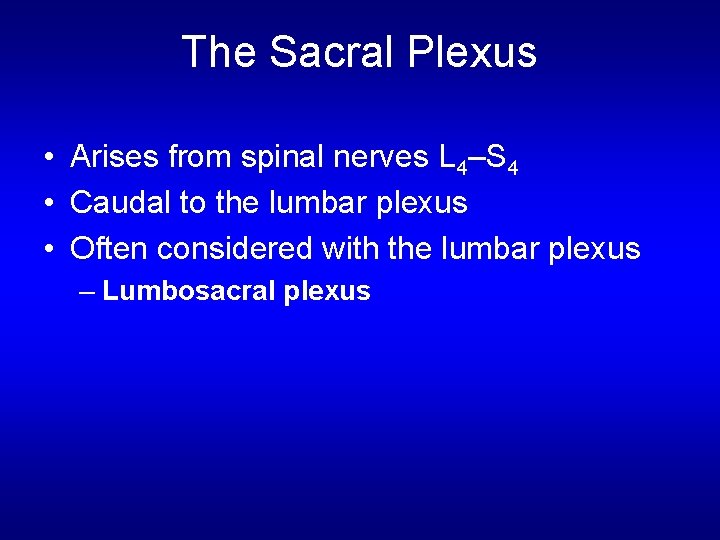 The Sacral Plexus • Arises from spinal nerves L 4–S 4 • Caudal to