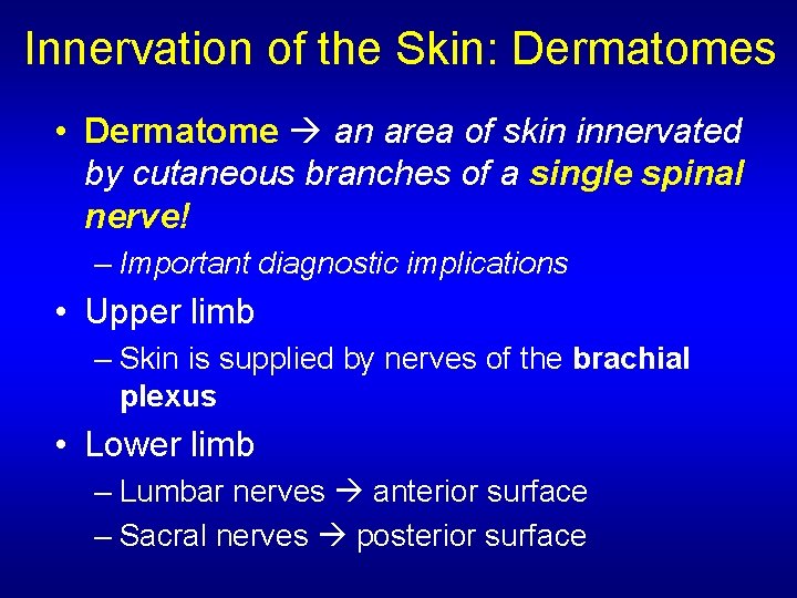 Innervation of the Skin: Dermatomes • Dermatome an area of skin innervated by cutaneous