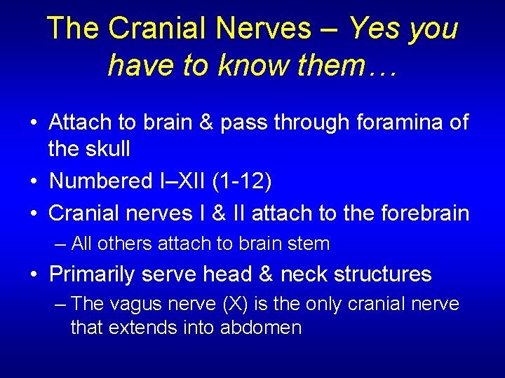 The Cranial Nerves – Yes you have to know them… • Attach to brain