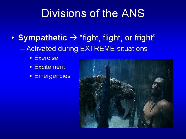 Divisions of the ANS • Sympathetic “fight, flight, or fright” – Activated during EXTREME