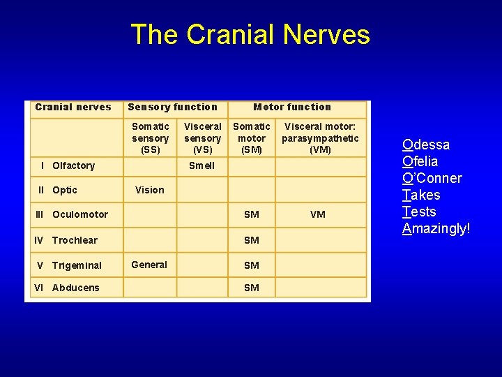 The Cranial Nerves Cranial nerves Sensory function Somatic sensory (SS) Somatic motor (SM) Visceral