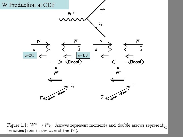 W Production at CDF q=2/3 q=1/3 57 