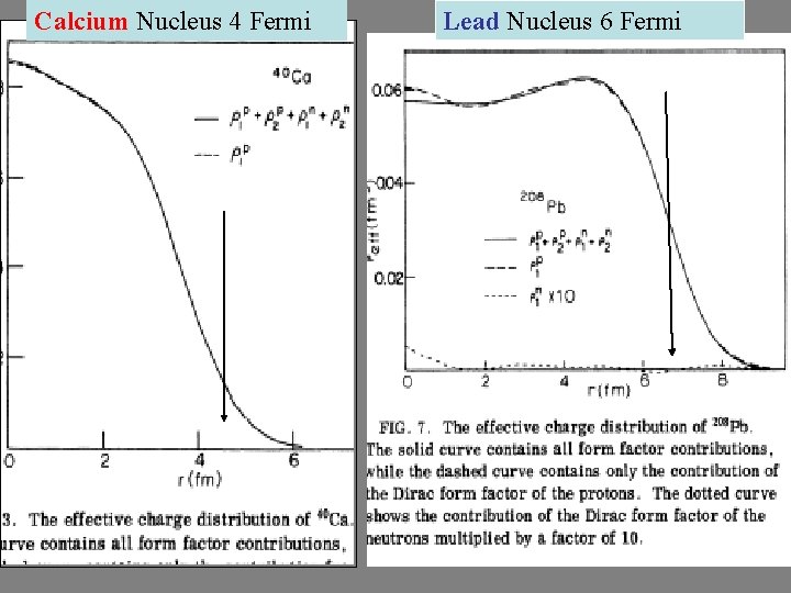 Calcium Nucleus 4 Fermi Lead Nucleus 6 Fermi 