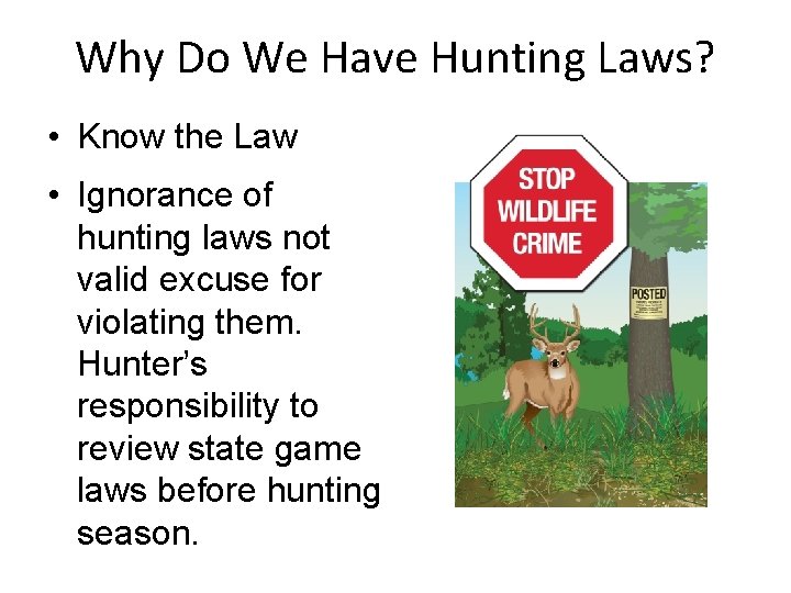 Why Do We Have Hunting Laws? • Know the Law • Ignorance of hunting