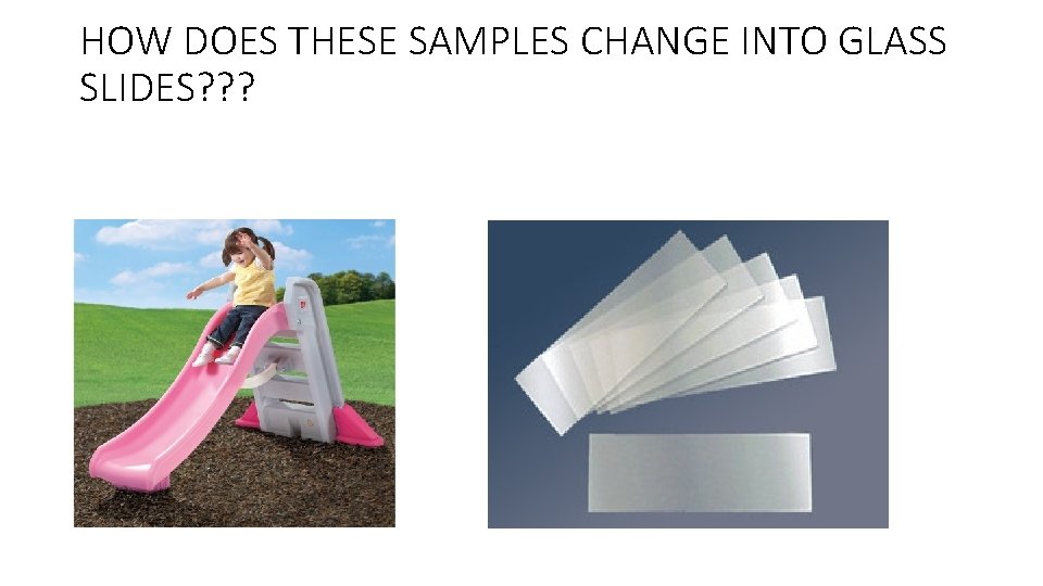 HOW DOES THESE SAMPLES CHANGE INTO GLASS SLIDES? ? ? HOW DOES THESE SAMPLES CHANGE INTO GLASS SLIDES? ? ?