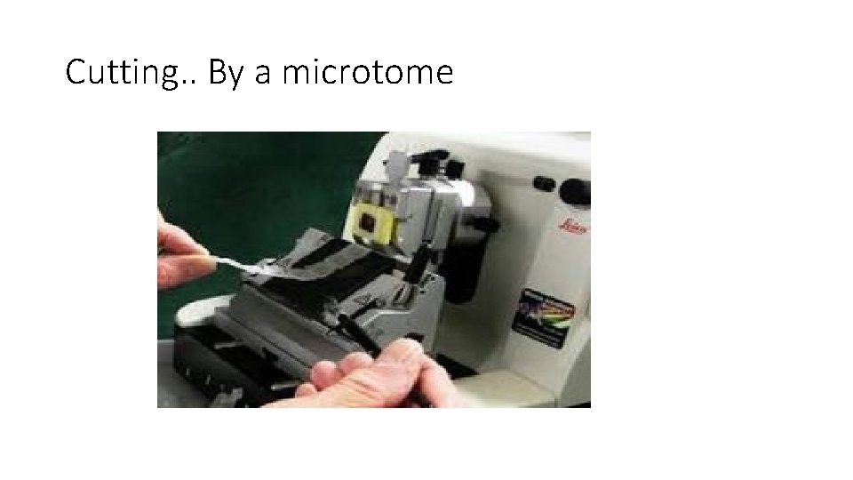 Cutting. . By a microtome Cutting. . By a microtome
