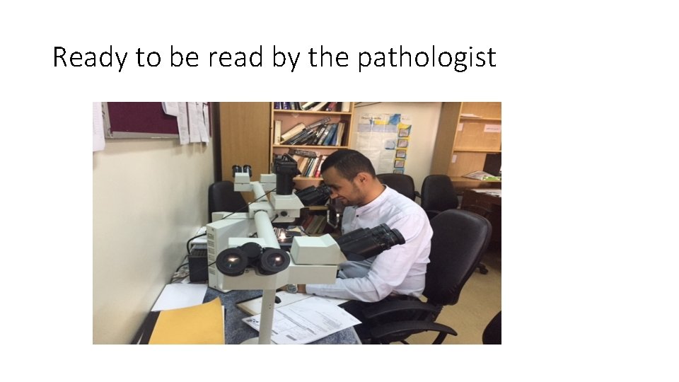 Ready to be read by the pathologist 