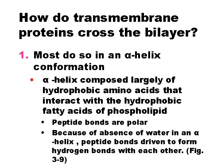 How do transmembrane proteins cross the bilayer? 1. Most do so in an α-helix