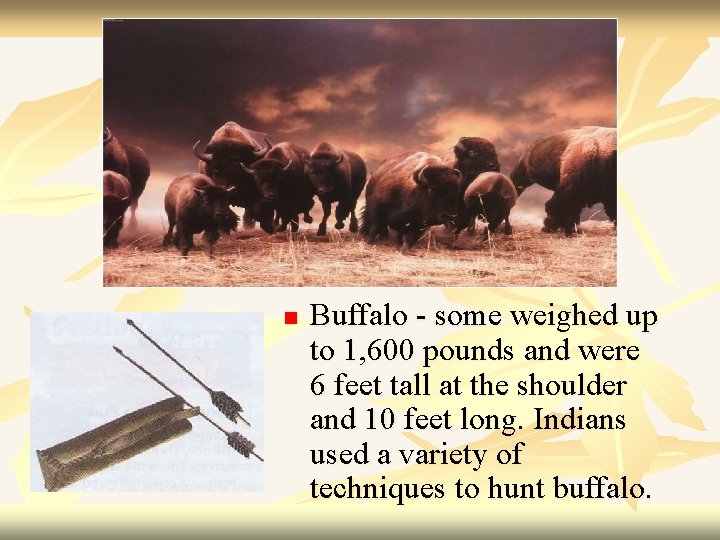 n Buffalo - some weighed up to 1, 600 pounds and were 6 feet