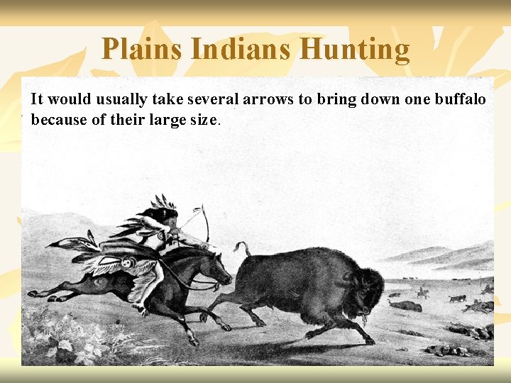 Plains Indians Hunting It would usually take several arrows to bring down one buffalo
