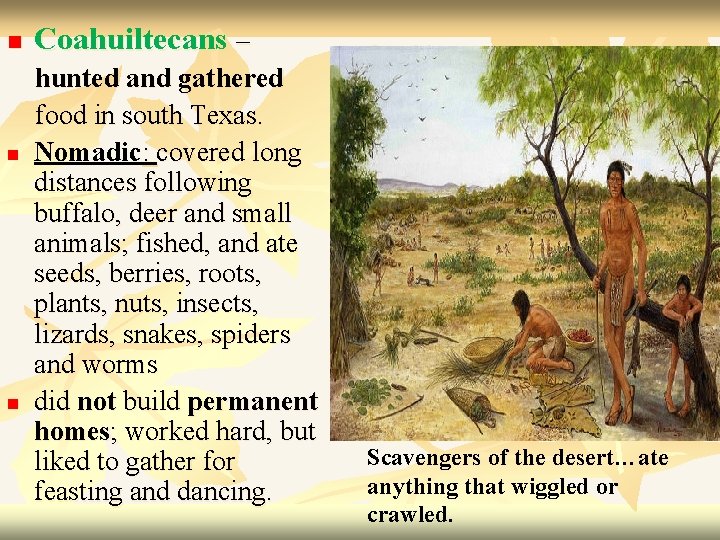 n n n Coahuiltecans – hunted and gathered food in south Texas. Nomadic: covered