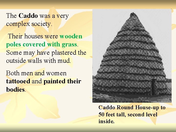 The Caddo was a very complex society. Their houses were wooden poles covered with