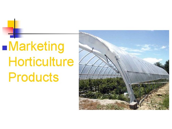 n Marketing Horticulture Products 