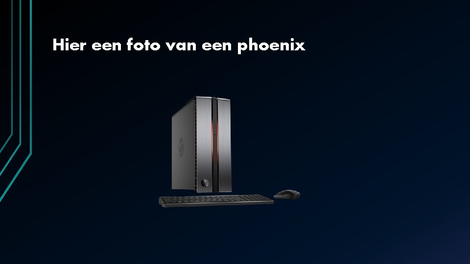 Hier een foto van een phoenix Hier een foto van een phoenix