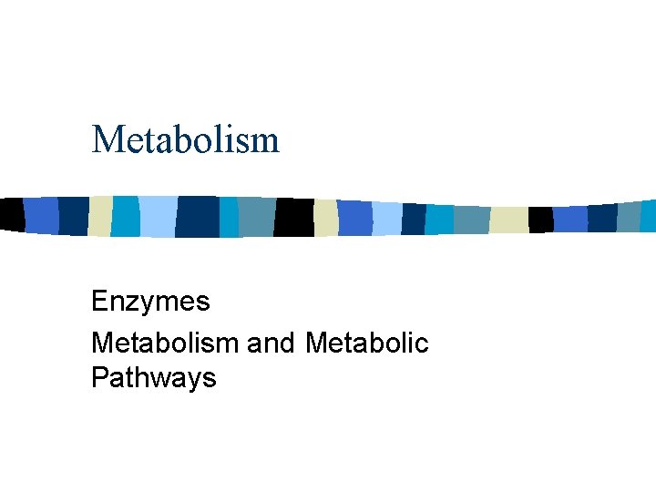 Metabolism Enzymes Metabolism and Metabolic Pathways 