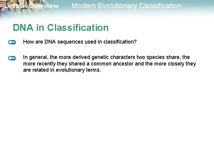 Lesson Overview Modern Evolutionary Classification DNA in Classification How are DNA sequences used in