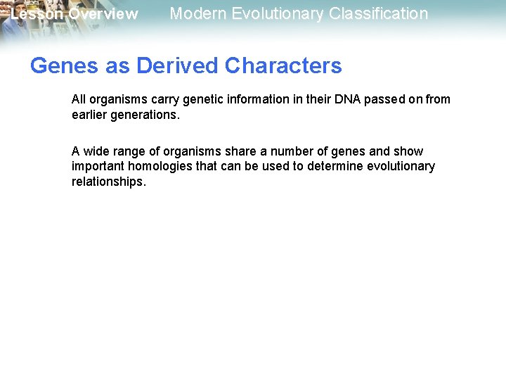 Lesson Overview Modern Evolutionary Classification Genes as Derived Characters All organisms carry genetic information