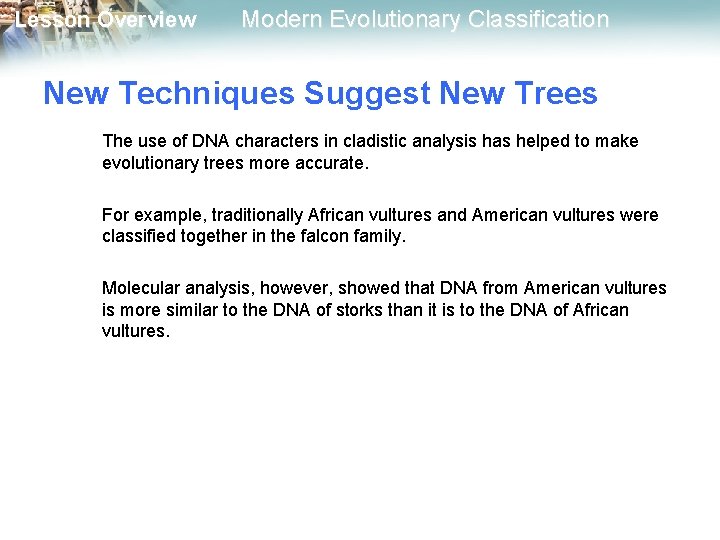 Lesson Overview Modern Evolutionary Classification New Techniques Suggest New Trees The use of DNA