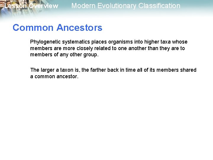 Lesson Overview Modern Evolutionary Classification Common Ancestors Phylogenetic systematics places organisms into higher taxa