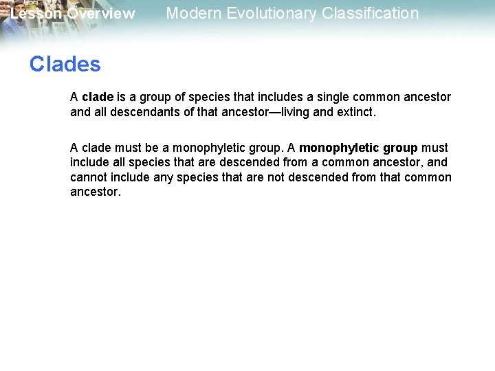 Lesson Overview Modern Evolutionary Classification Clades A clade is a group of species that