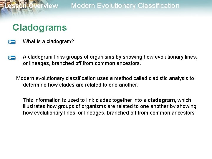 Lesson Overview Modern Evolutionary Classification Cladograms What is a cladogram? A cladogram links groups