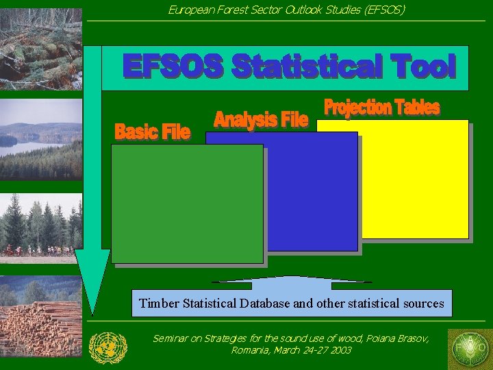 European Forest Sector Outlook Studies (EFSOS) Timber Statistical Database and other statistical sources Seminar European Forest Sector Outlook Studies (EFSOS) Timber Statistical Database and other statistical sources Seminar