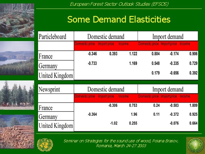 European Forest Sector Outlook Studies (EFSOS) Some Demand Elasticities Seminar on Strategies for the