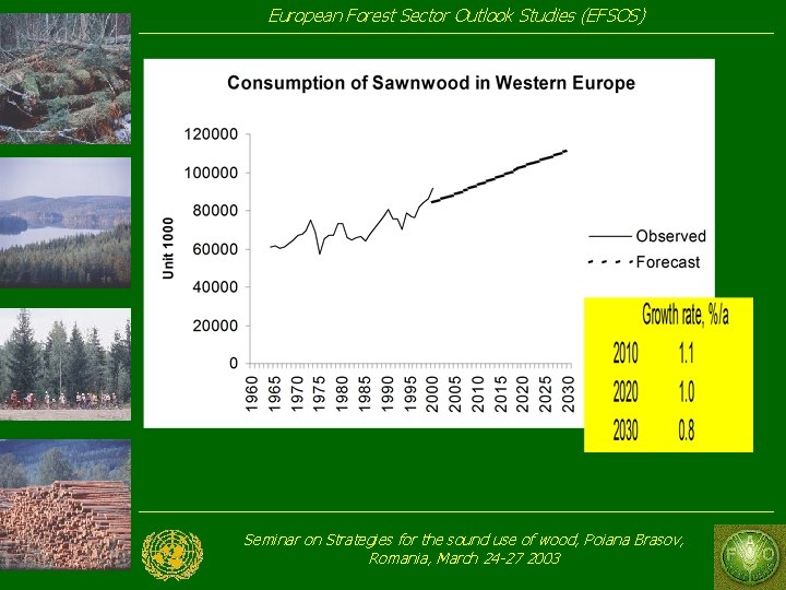 European Forest Sector Outlook Studies (EFSOS) Seminar on Strategies for the sound use of European Forest Sector Outlook Studies (EFSOS) Seminar on Strategies for the sound use of