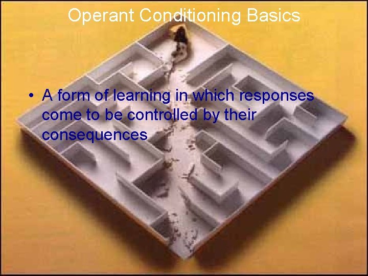 Operant Conditioning Basics • A form of learning in which responses come to be