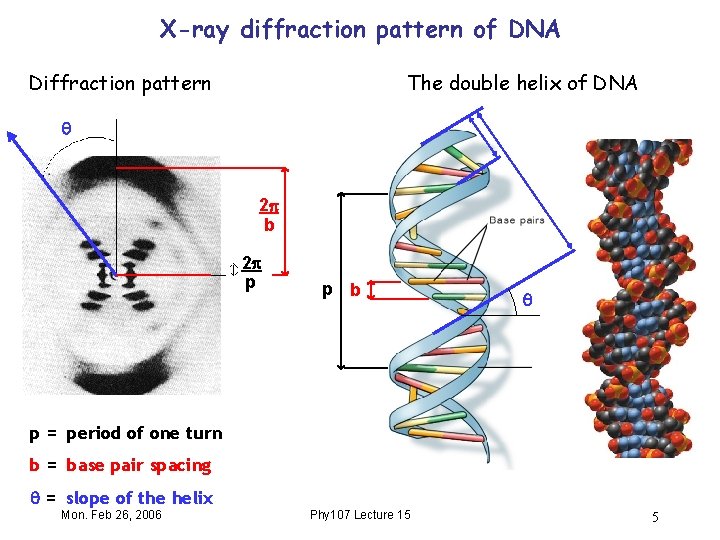 X-ray diffraction pattern of DNA Diffraction pattern The double helix of DNA 2 b