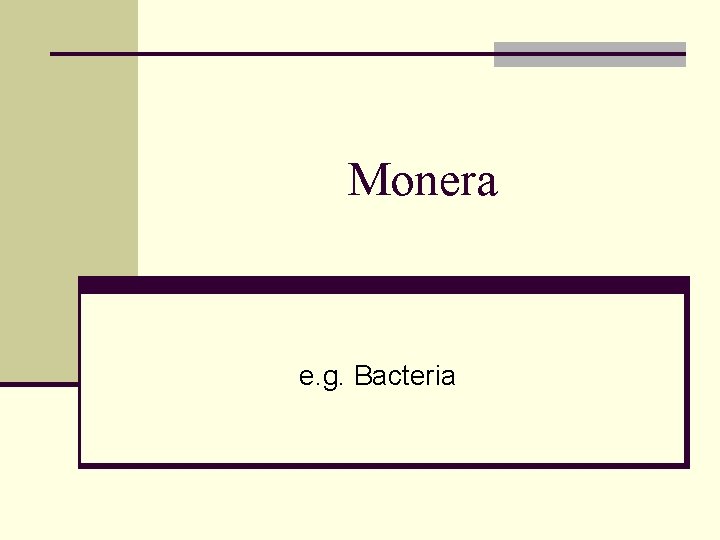 Monera e. g. Bacteria 
