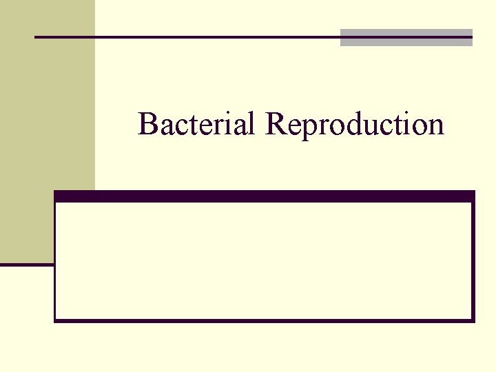 Bacterial Reproduction 