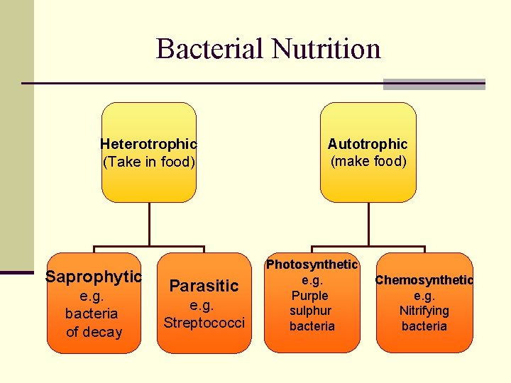 Bacterial Nutrition Heterotrophic (Take in food) Saprophytic e. g. bacteria of decay Parasitic e.