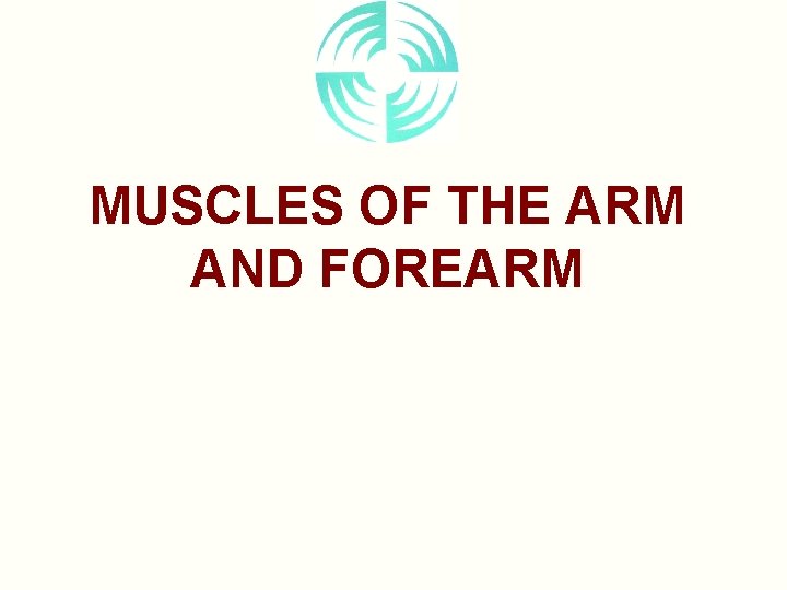MUSCLES OF THE ARM AND FOREARM 