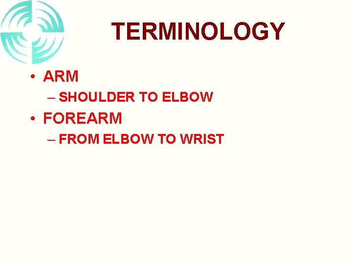 TERMINOLOGY • ARM – SHOULDER TO ELBOW • FOREARM – FROM ELBOW TO WRIST