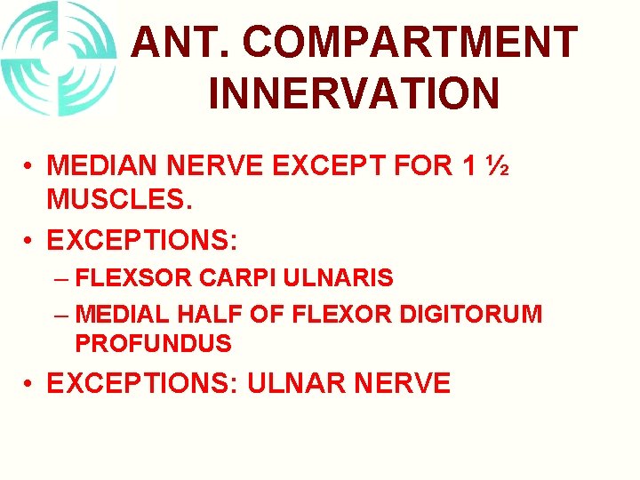 ANT. COMPARTMENT INNERVATION • MEDIAN NERVE EXCEPT FOR 1 ½ MUSCLES. • EXCEPTIONS: –