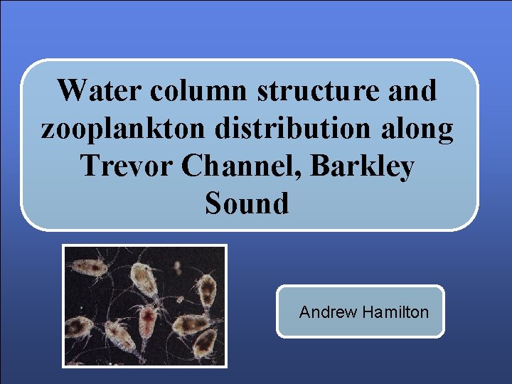 Water column structure and zooplankton distribution along Trevor Channel, Barkley Sound Andrew Hamilton 