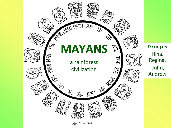 MAYANS a rainforest civilization Group 5 Hina, Regina, John, Andrew MAYANS a rainforest civilization Group 5 Hina, Regina, John, Andrew