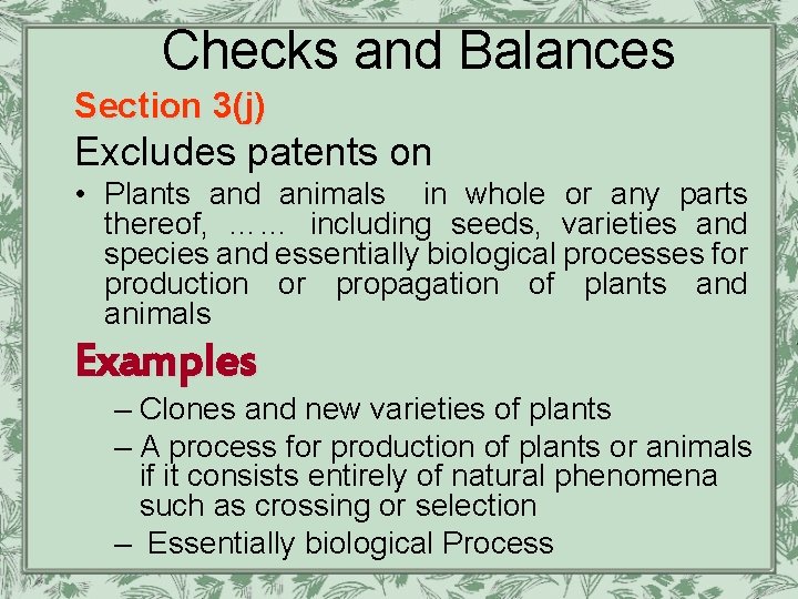 Checks and Balances Section 3(j) Excludes patents on • Plants and animals in whole