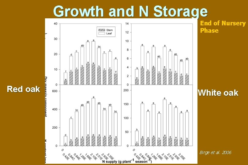 Growth and N Storage End of Nursery Phase Red oak White oak Birge et