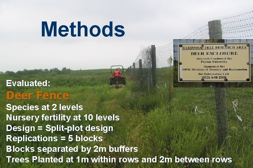 Methods Evaluated: Deer Fence Species at 2 levels Nursery fertility at 10 levels Design