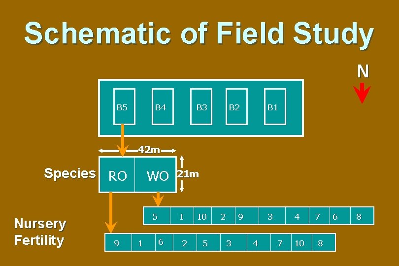 Schematic of Field Study N B 5 B 4 B 3 B 2 B