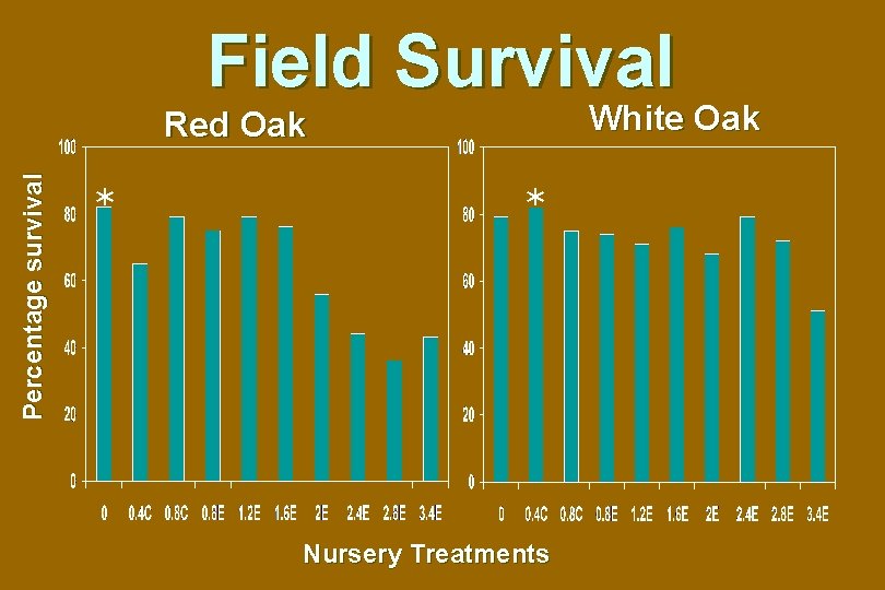 Field Survival White Oak Percentage survival Red Oak * * Nursery Treatments 