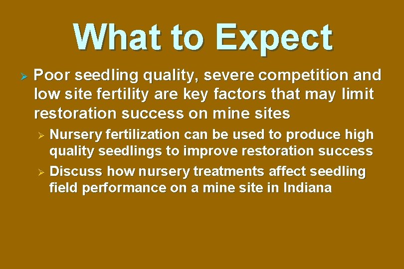 What to Expect Ø Poor seedling quality, severe competition and low site fertility are