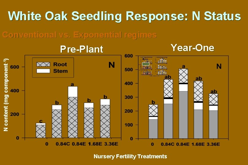 White Oak Seedling Response: N Status Conventional vs. Exponential regimes N content (mg component-1)