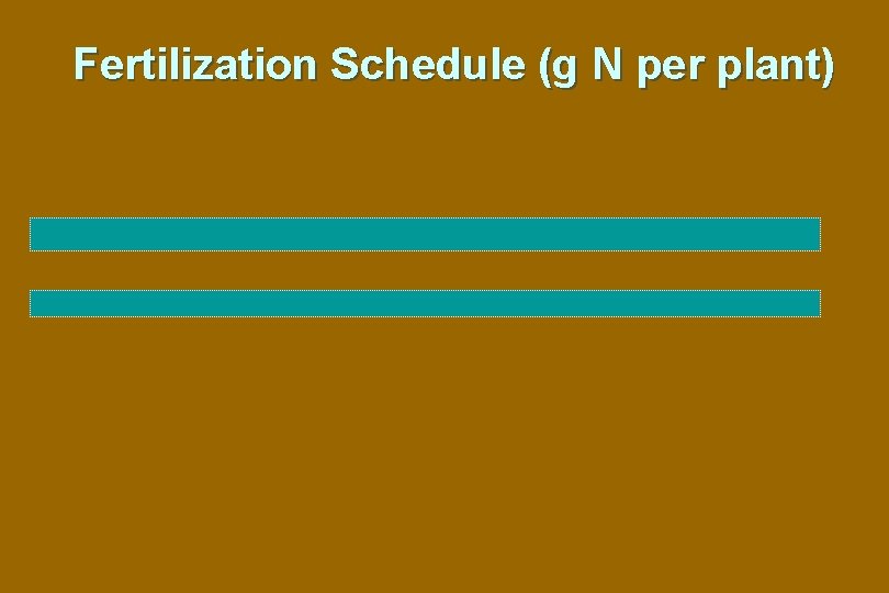 Fertilization Schedule (g N per plant) 