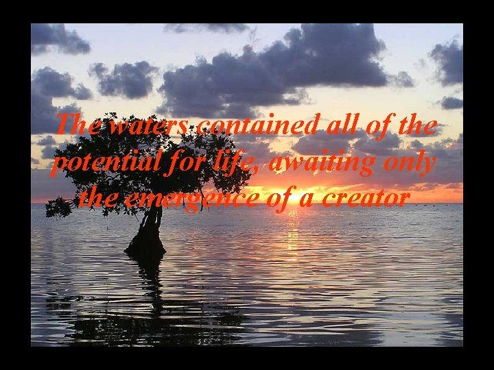 The waters contained all of the potential for life, awaiting only the emergence of