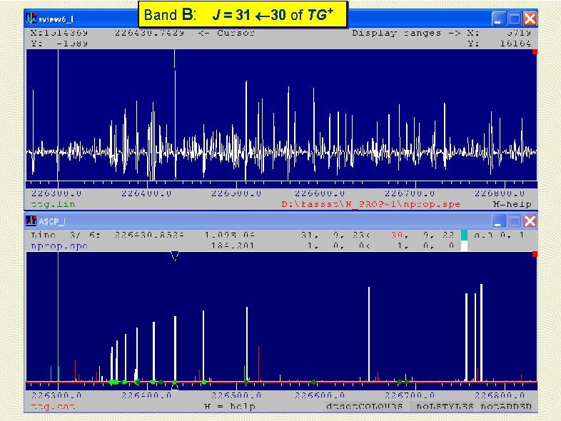 Band B: J = 31 30 of TG + 